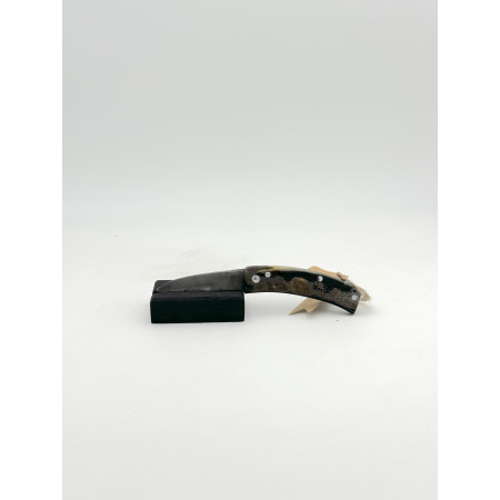 Couteau corne de buffle