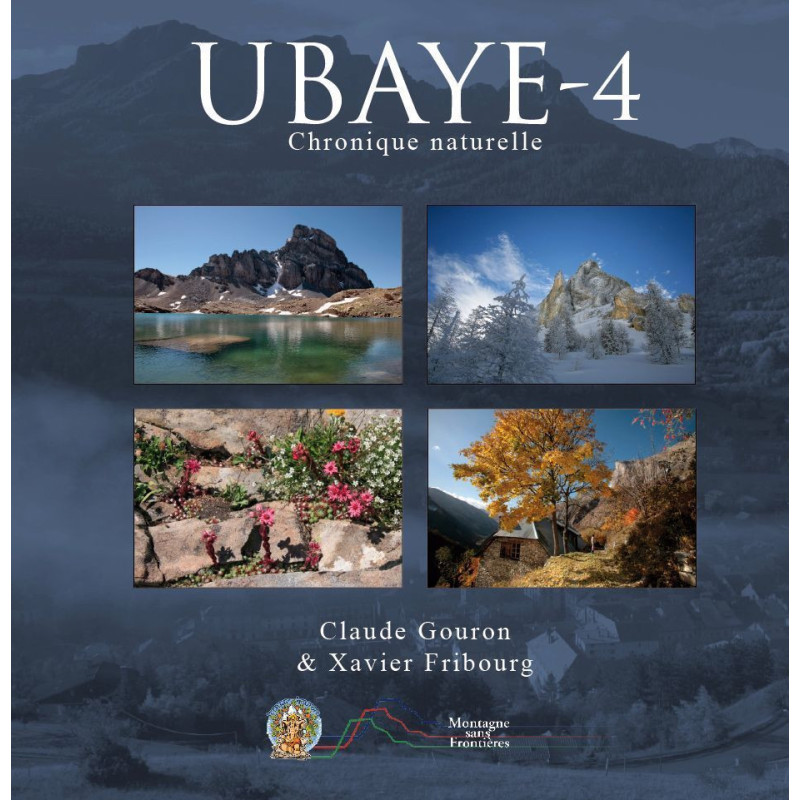 Ubaye 4