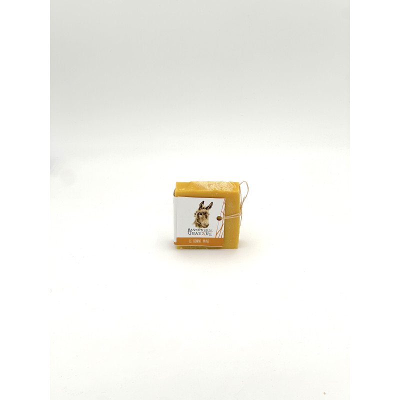 SAVON LE BONNE MINE SAVON LE BONNE MINE